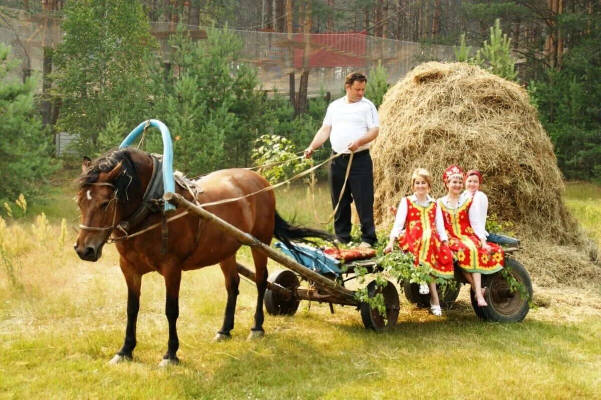 В каких сферах заняты жители сельской местности. Грант агротуризм 2022. Сельский туризм. Сельский туризм в России. Сельский туризм агротуризм.