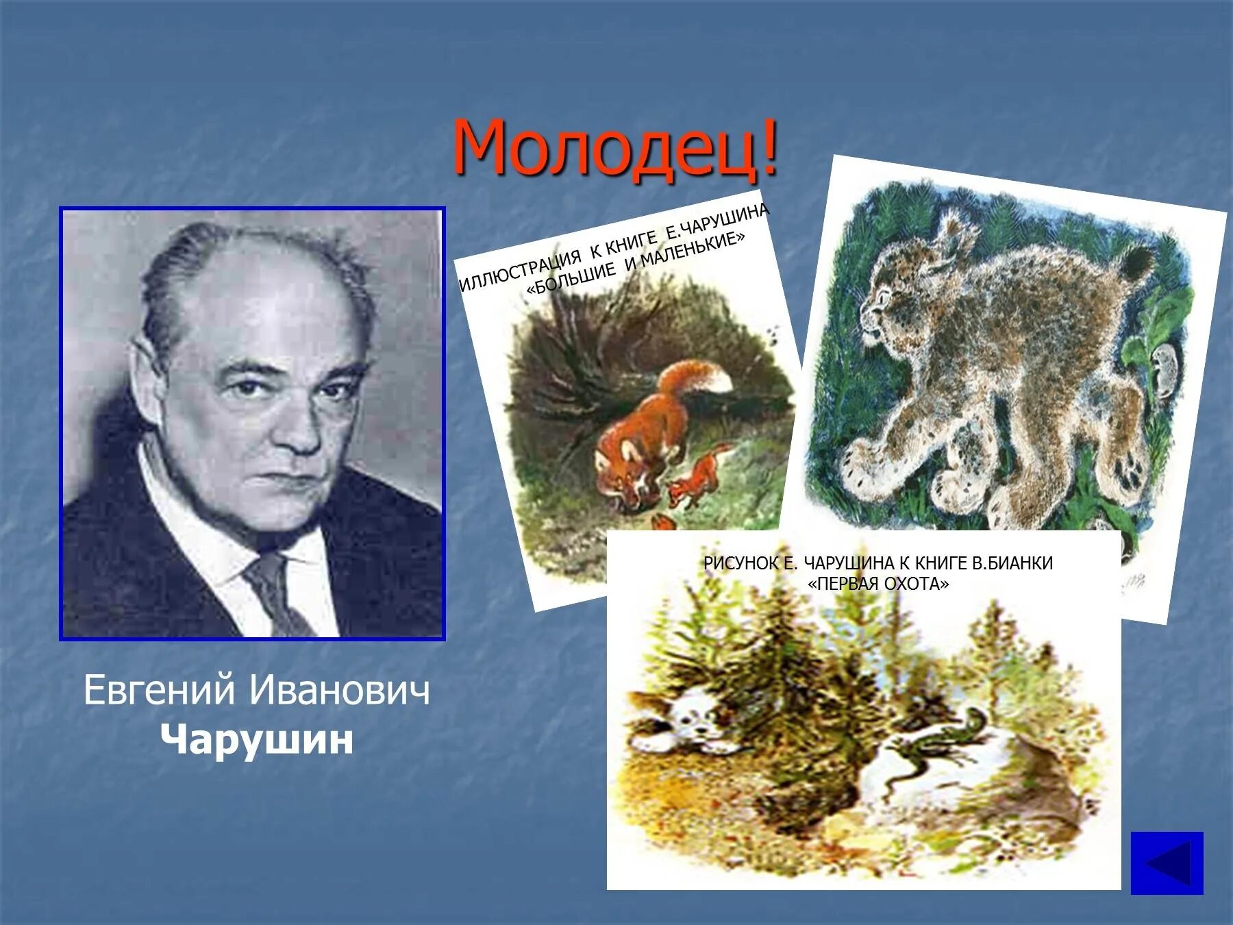 имя отчество чарушина