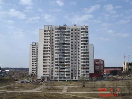 Черноголовка дома