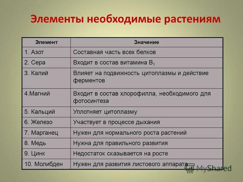 Элементов необходимых для части. Элементы растений. Элементы необходимые растениям. Значение серы для растений. Влияние серы на растения.