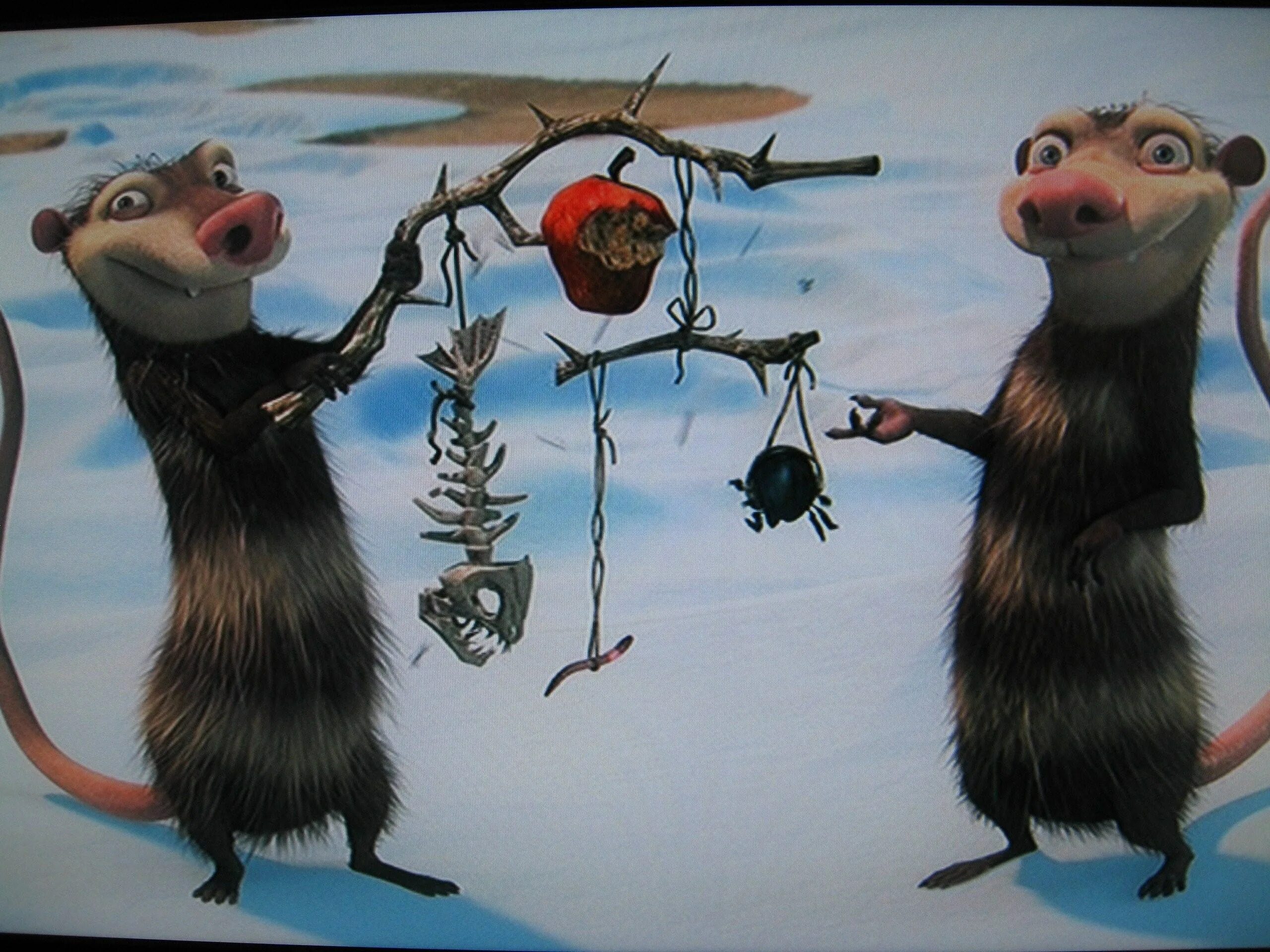 Ледниковый период 2 опоссумы. Ледниковый период 2 опоссумы. Опоссум эдди. Крэш энди из ледникового периода. Ледниковый период 2 опоссумы.