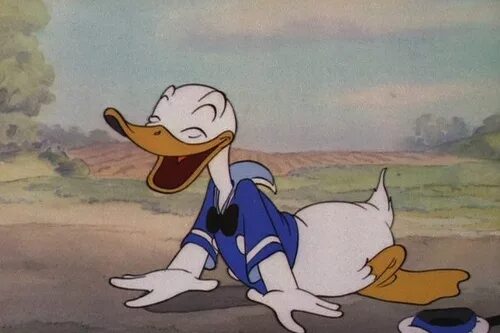Друг дональда дака. Друг дональда дака. Donald "fauntleroy" duck. Donald "fauntleroy" duck. Утка дак дисней.