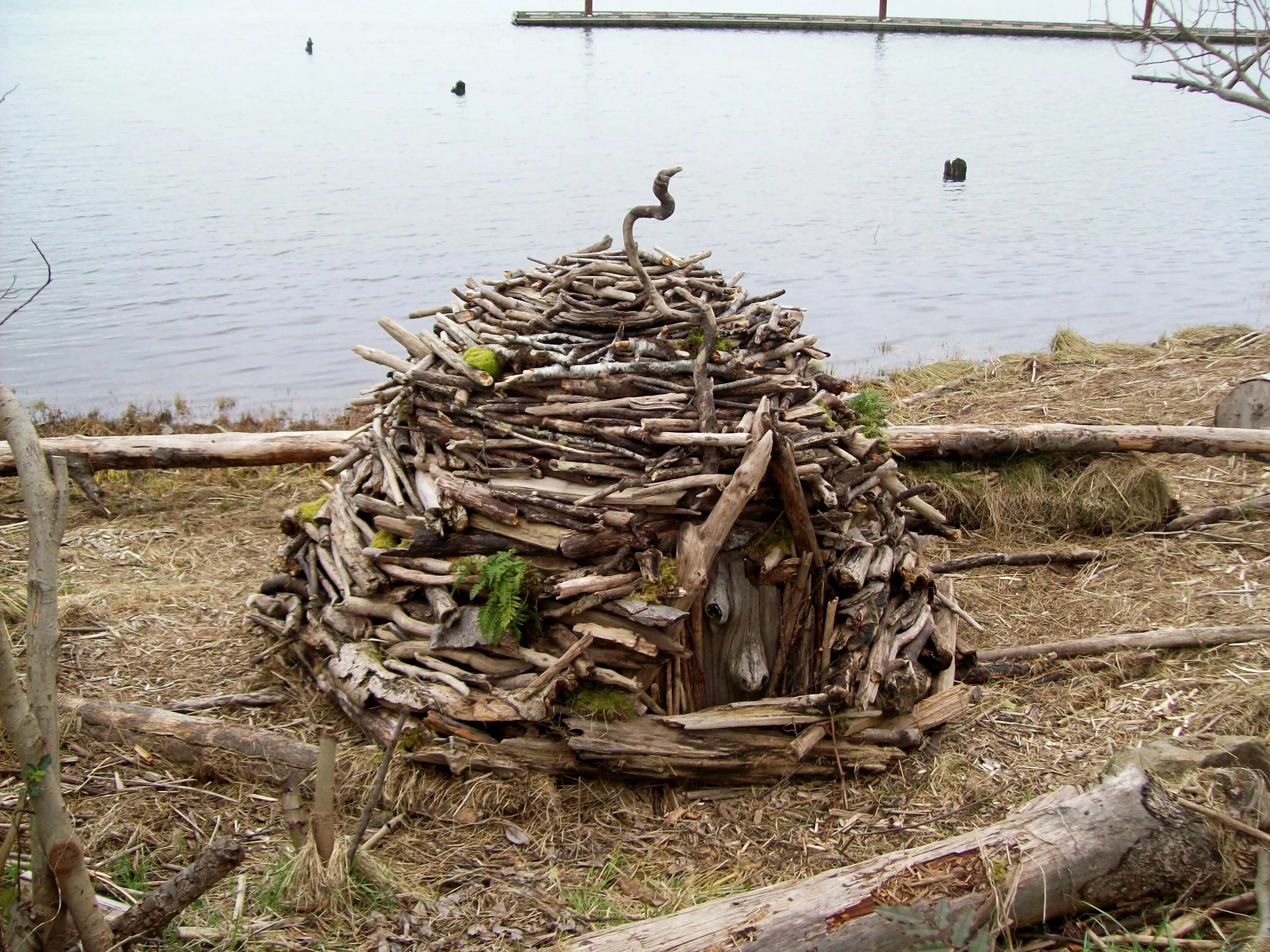Хатка бобра бобровая. Плотина бобров хатка бобра. Бобр хатка бобра. Бобр хатка бобра. Бобр хатка бобра.