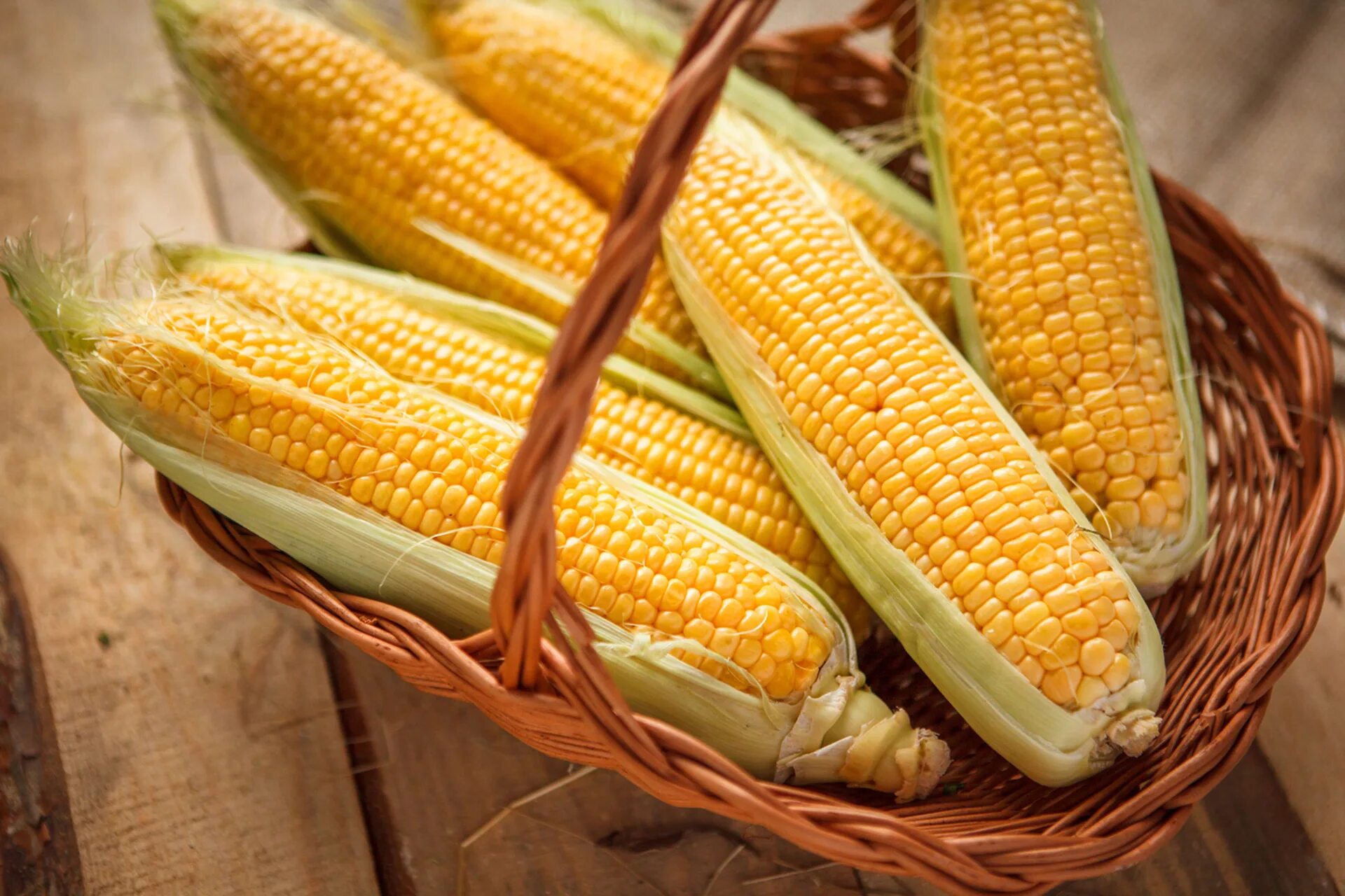 Mays corn. Кукуруза Маис. Кукуруза в початках консервированная. Кукуруза - Zea Mays. Семена кукурузы Маис Франция.