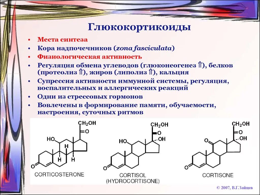 Синтез мочи. Стероидные гормоны глюкокортикоиды. Глюкокортикоиды химическая структура. Синтез кортикостероидов биохимия. Гормона кортизола (глюкокортикоиды).