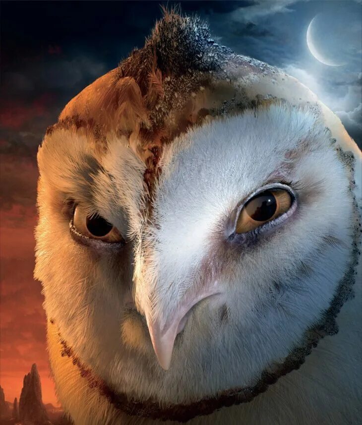 Легенды про сов. Легенды ночных стражей капуша. ночные стражи клудд. сипуха сорен легенды ночных стражей.