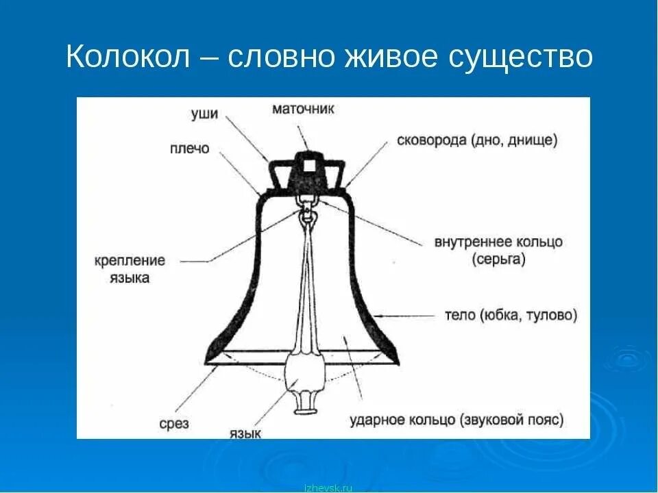 Колокольчик на какой вопрос отвечает. Устройство колокола. Строение колоколов. Части колокольчика. Части колокольчика названия.