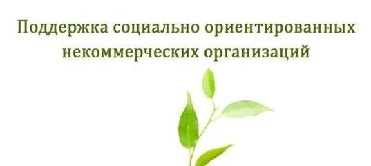 Оказание поддержки некоммерческим организациям. Социально ориентированные некоммерческие организации. Поддержка социально ориентированных некоммерческих организаций. Поддержка социально ориентированным некоммерческим организациям. Поддержка СОНКО.