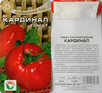 Помидоры устойчивые к фитофторе