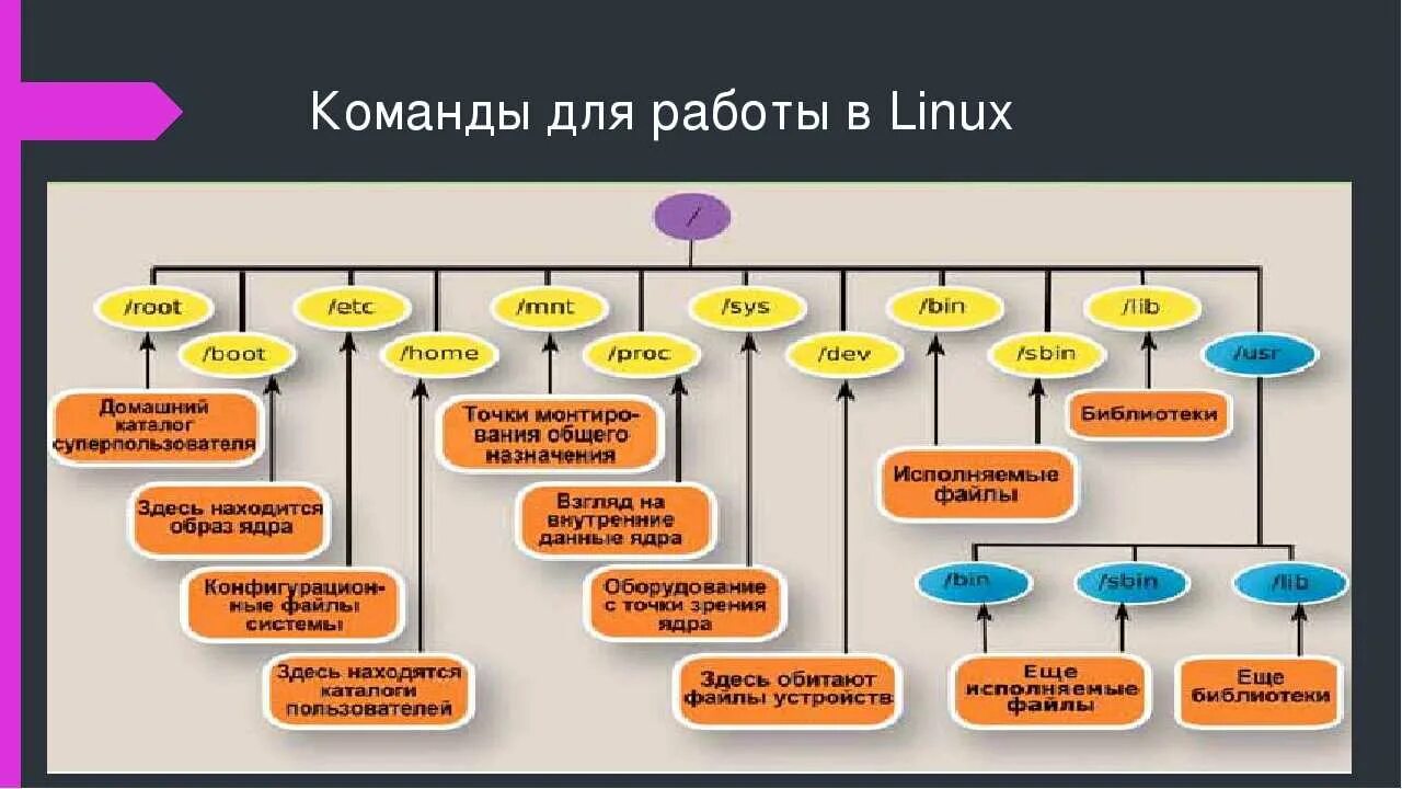 Соотнесите действия мыши и управленческие функции линукс