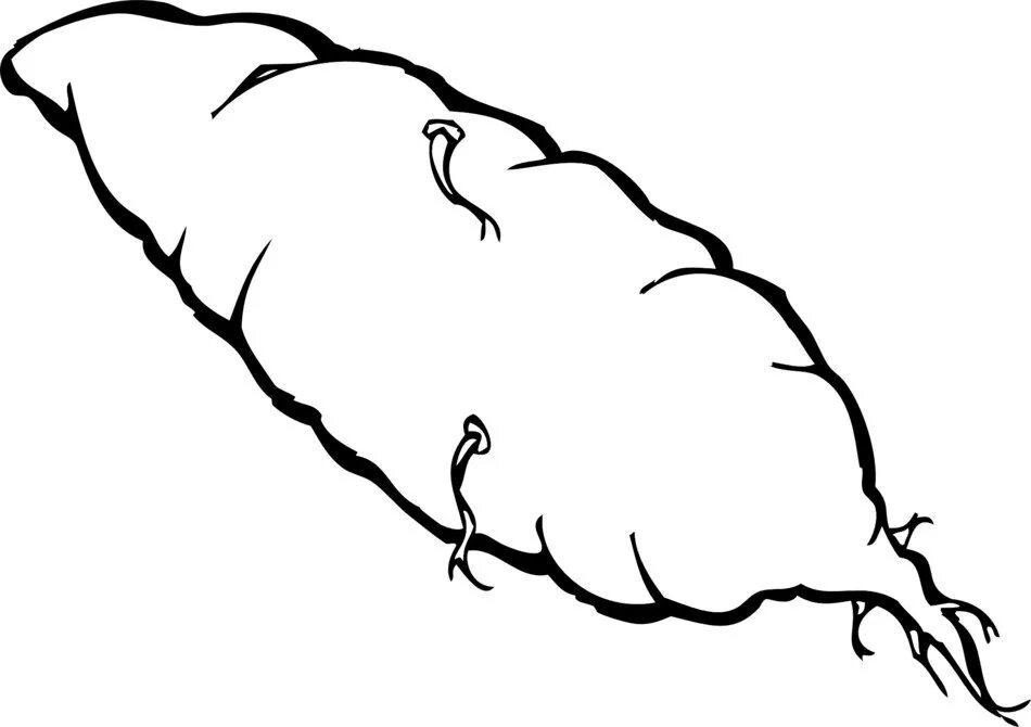 Yam code