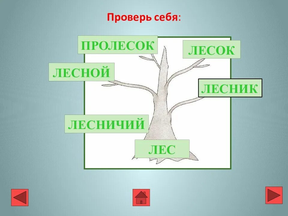 Родственные слова лес. Дерево с однокоренными словами. Лес однокоренные. Однокоренные слова к слову лес.