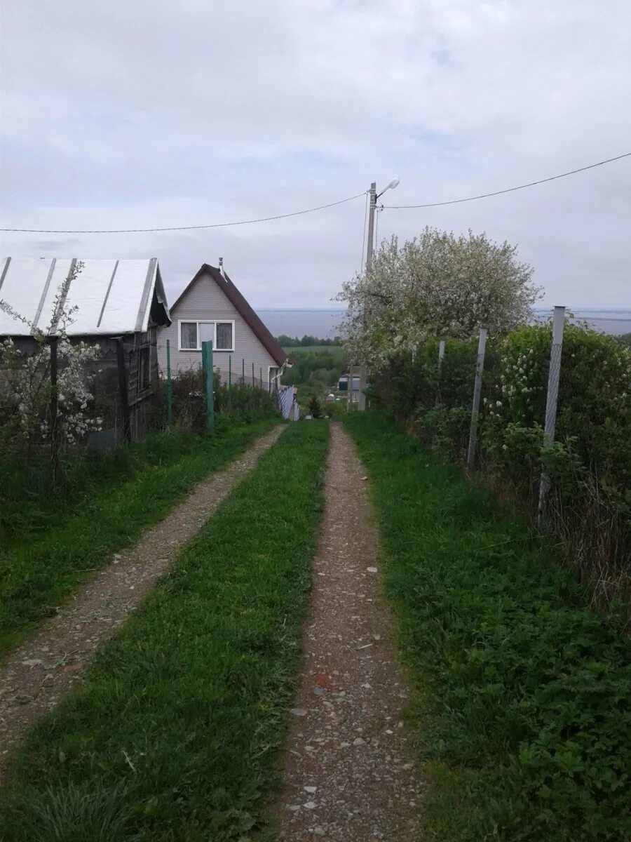 Пеники Ломоносовский район. Лангерево Ломоносовский район. Пеники дом культуры фото. Погода Пеники.