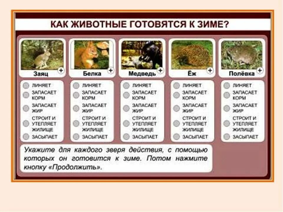 Сезонная жизнь животных. Как животные готовятся к зиме. как готовится к зиме о животных. какмживотные готовятся/к зиме. животные готовятся к зиме.
