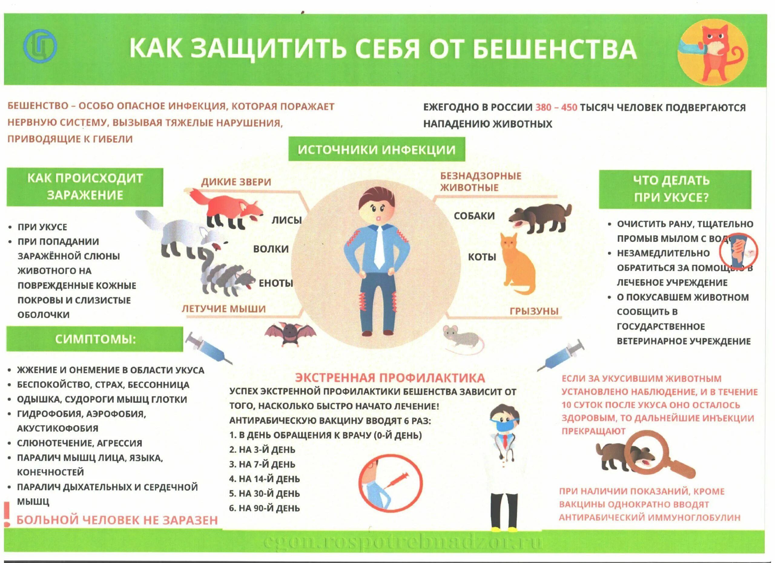 Защитить от инфекций