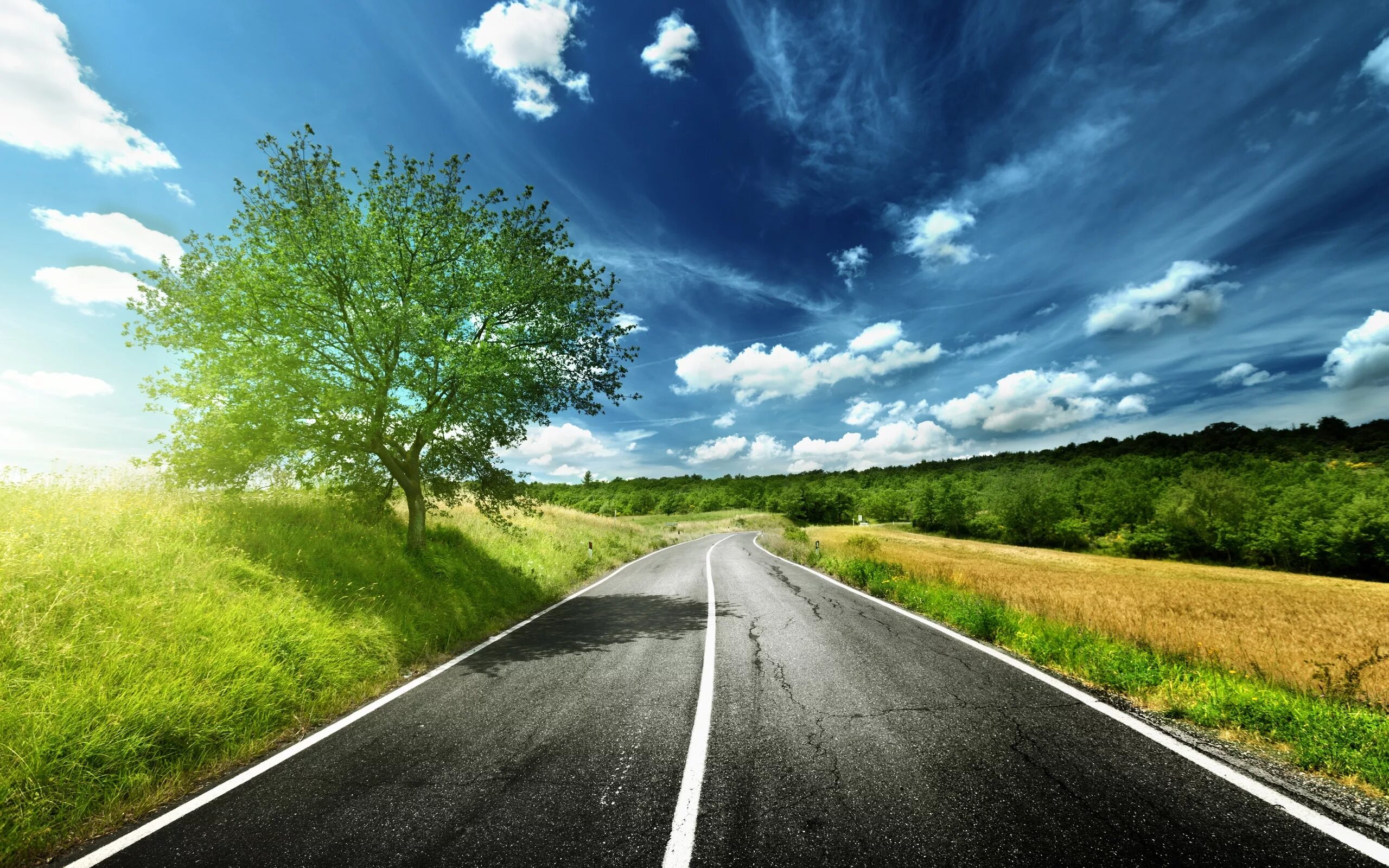 Road