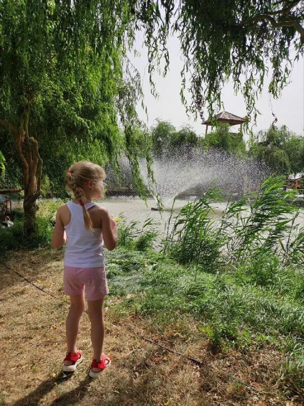 06. Люди лето сочи. 2016 фонтанка ру. Середина лета. Почему нет лета 2021.