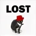 Miss me cat