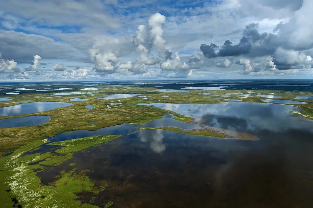 гыданский заповедник тундра. гыданский заповедник тундра. тундра ненецкий автономный округ. юрибей река на полуострове ямал. ненецкий ао тундра.