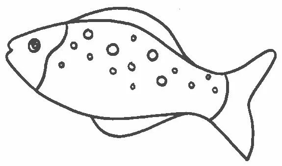 Clownfish pattern. Use the printable outline for crafts, creating stencils, scra