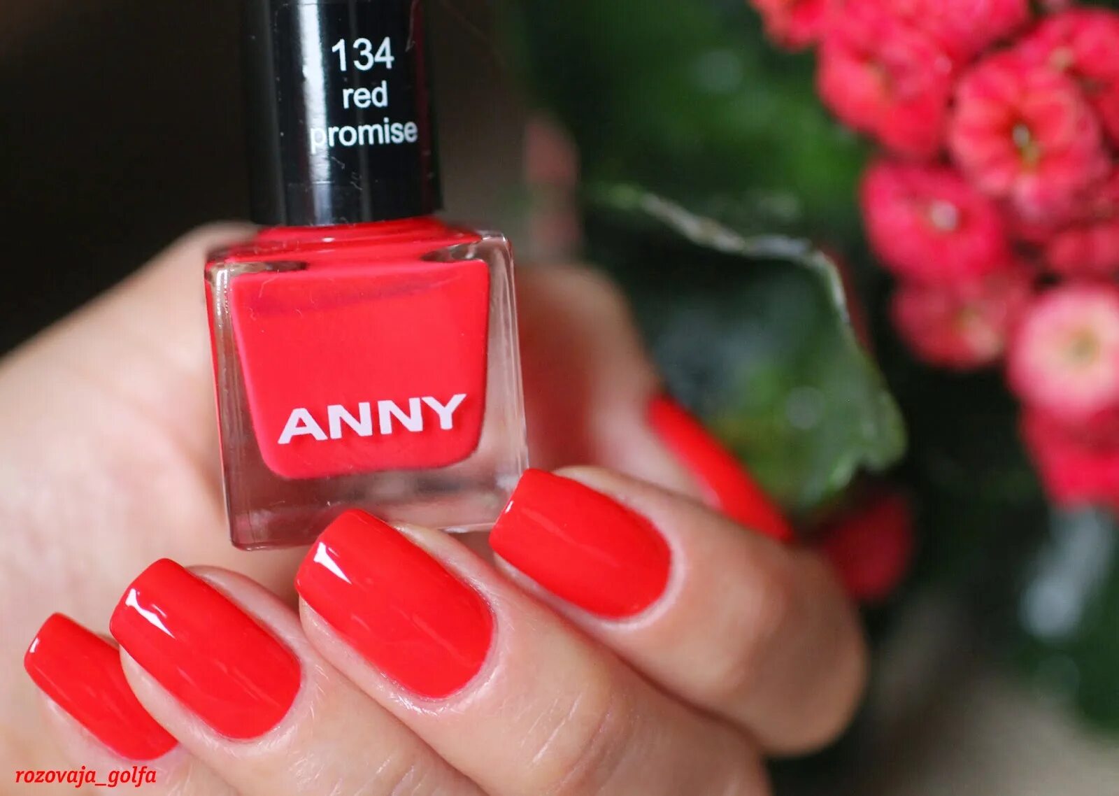Anny 85 only Red. Anny Red meets Orange. Anny лак для ногтей 085 only Red. Палитра лака для ногтей Anny красный. Anny запись