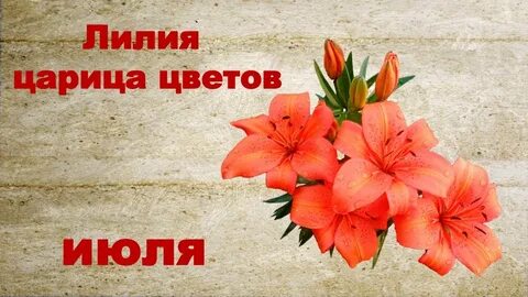 Царица лета цветок из игры
