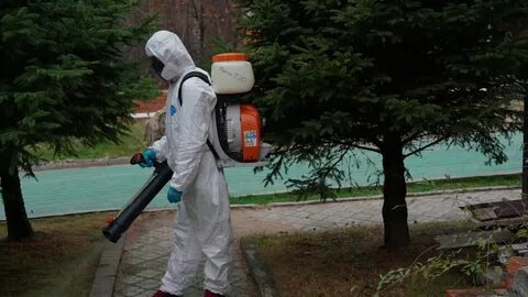 Ларвицидная обработка