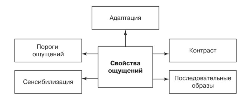 Пороги ощущений адаптация. Виды порогов ощущений. Виды порогов чувствительности в психологии. Виды порогов ощущений. Адаптация сенсибилизация синестезия.