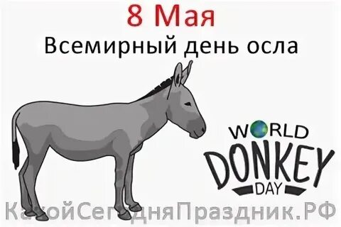 Всемирный день осла