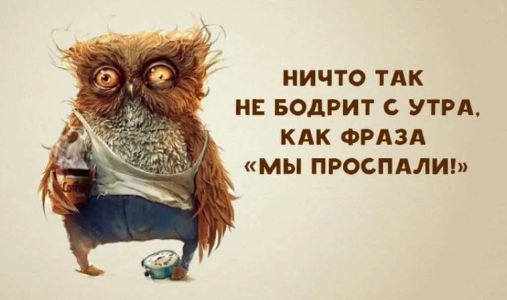 Утро воскресенья юмор. Открытки с добрым утром воскресенья прикольные. Воскресенье утро приколы. Доброе утро воскресенье прикольные. Приколы про 44 ФЗ В картинках.