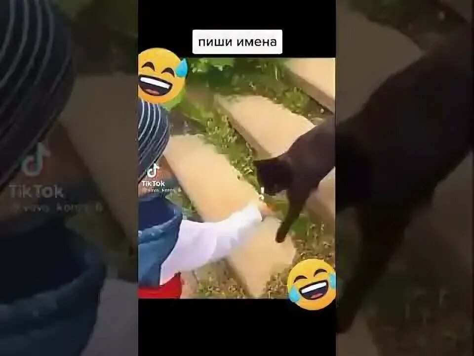 Видео как у кошечки дела она. Спроси у кошки. Видео как у кошечки дела она. Видео как у кошечки дела она. Видео как у кошечки дела она.