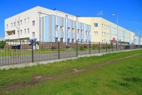 Элжур56 калининград