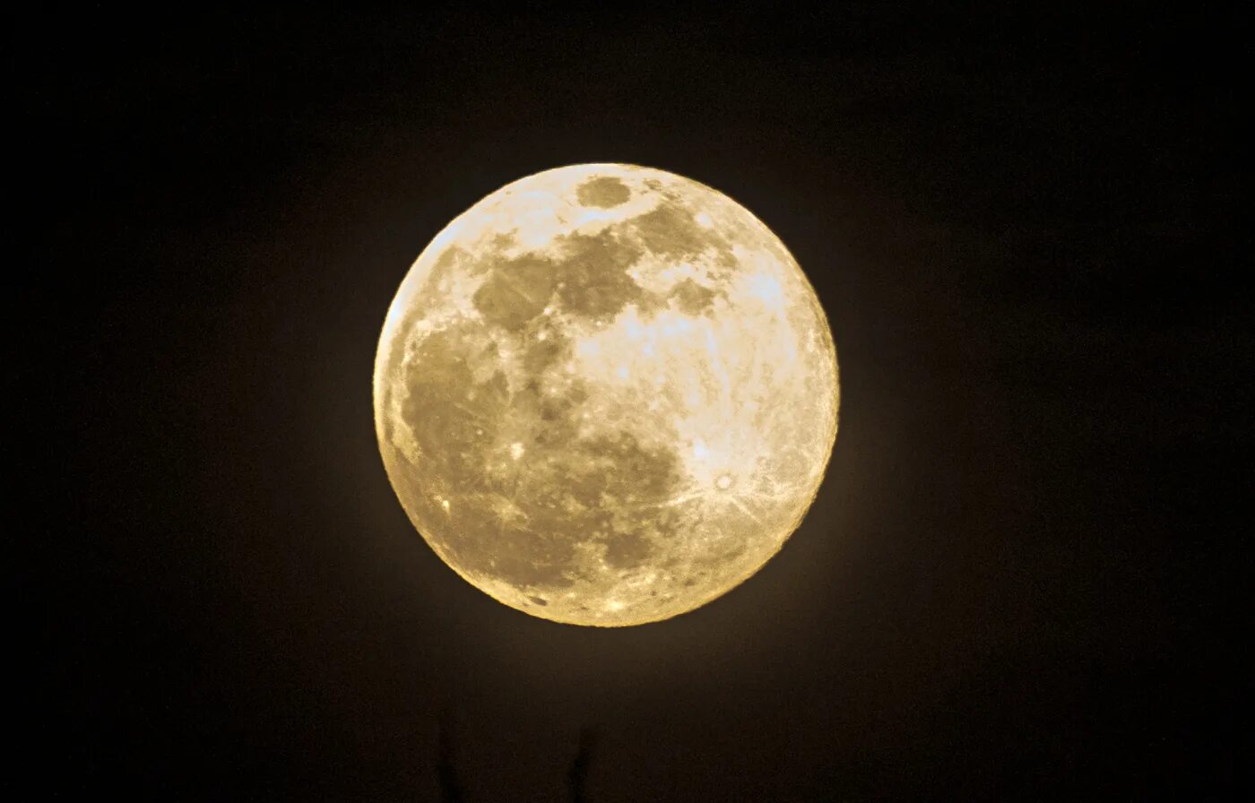 Lunar бесплатный. Мюнхен полнолуние. Луна Мем. Большая Луна Мем. Луна полнолуние с текстом.