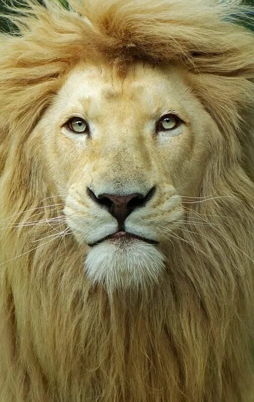 Courage is what it takes to stand up and speak; courage is also what it takes to