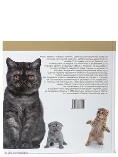 Кошки объяснение