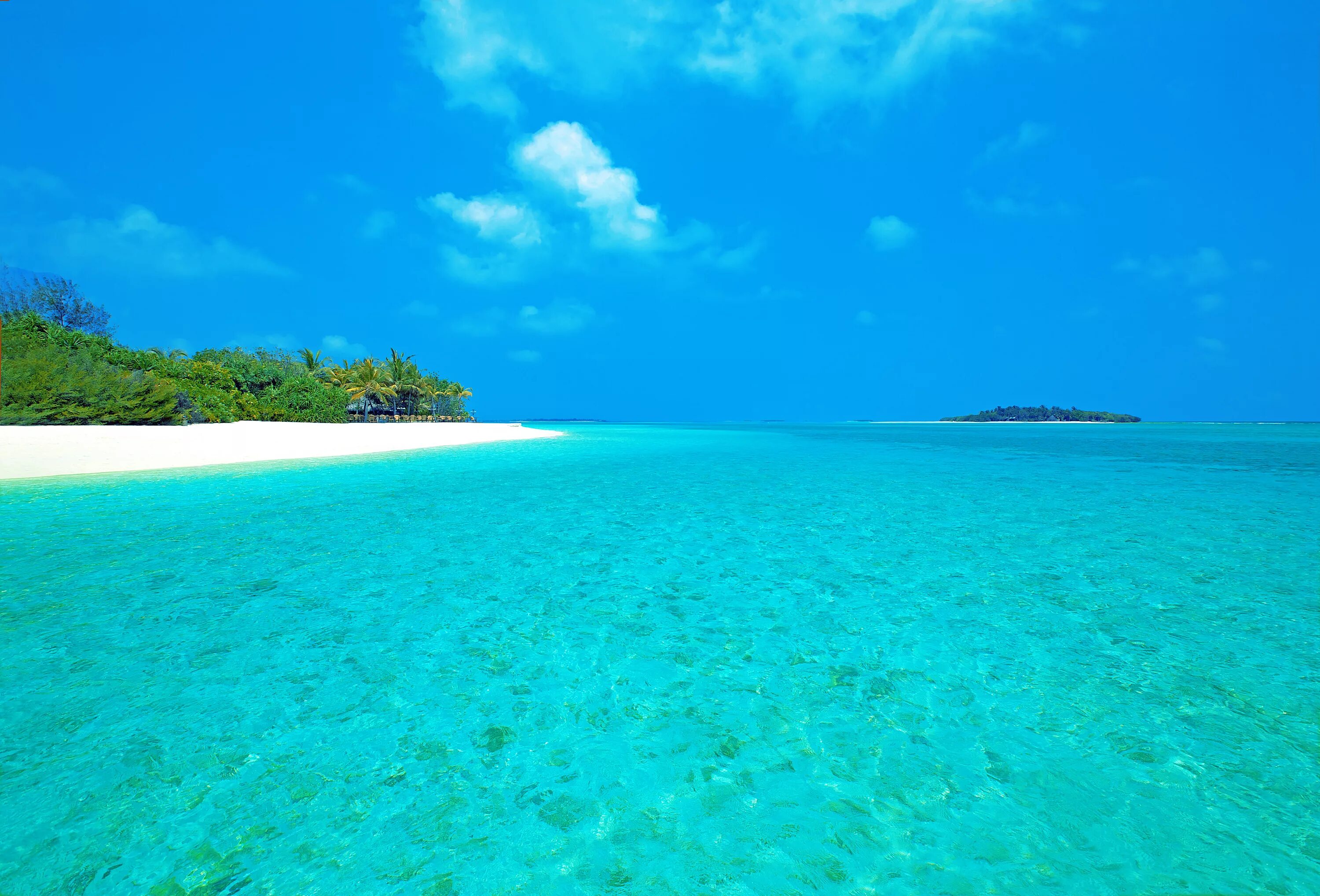 Парадиз остров Карибского моря. Индийский океан Мальдивы. Бирюзовая Лагуна Мальдивы. Лазурный берег Мальдивы. Экран island