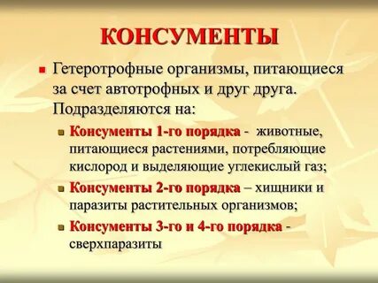 Консументы это в биологии 5 класс кратко