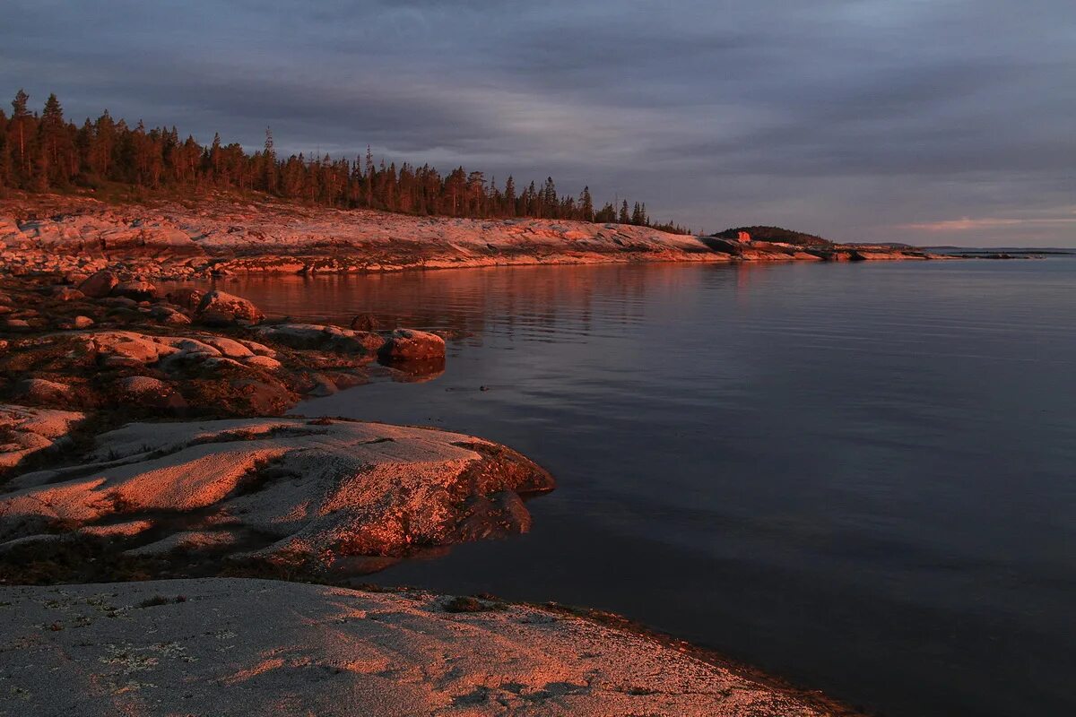 Белое море в августе. Онега город у белого моря. Белое море. Новости белого моря. Белое море пляж.