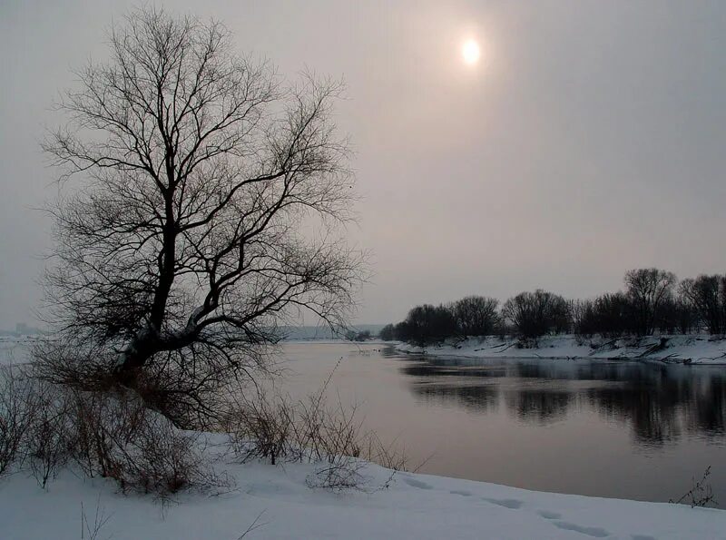 Зимы поволжья. Поволжье зимой. Сокольи горы самара зимой. Раннее зимнее утро. Природа средней полосы россии зимой.