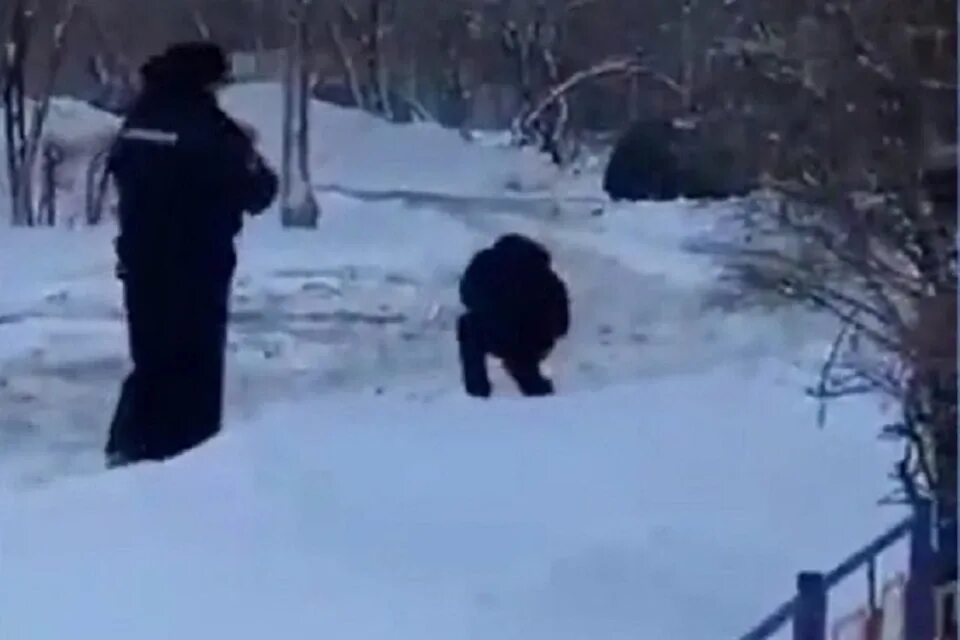 Поимка террористов в брянской области. Полиция задерживает преступника с ножом с оружием. Задержание террористов в Оренбуржье в 2007-м году. Стрельба на улице Брагина.