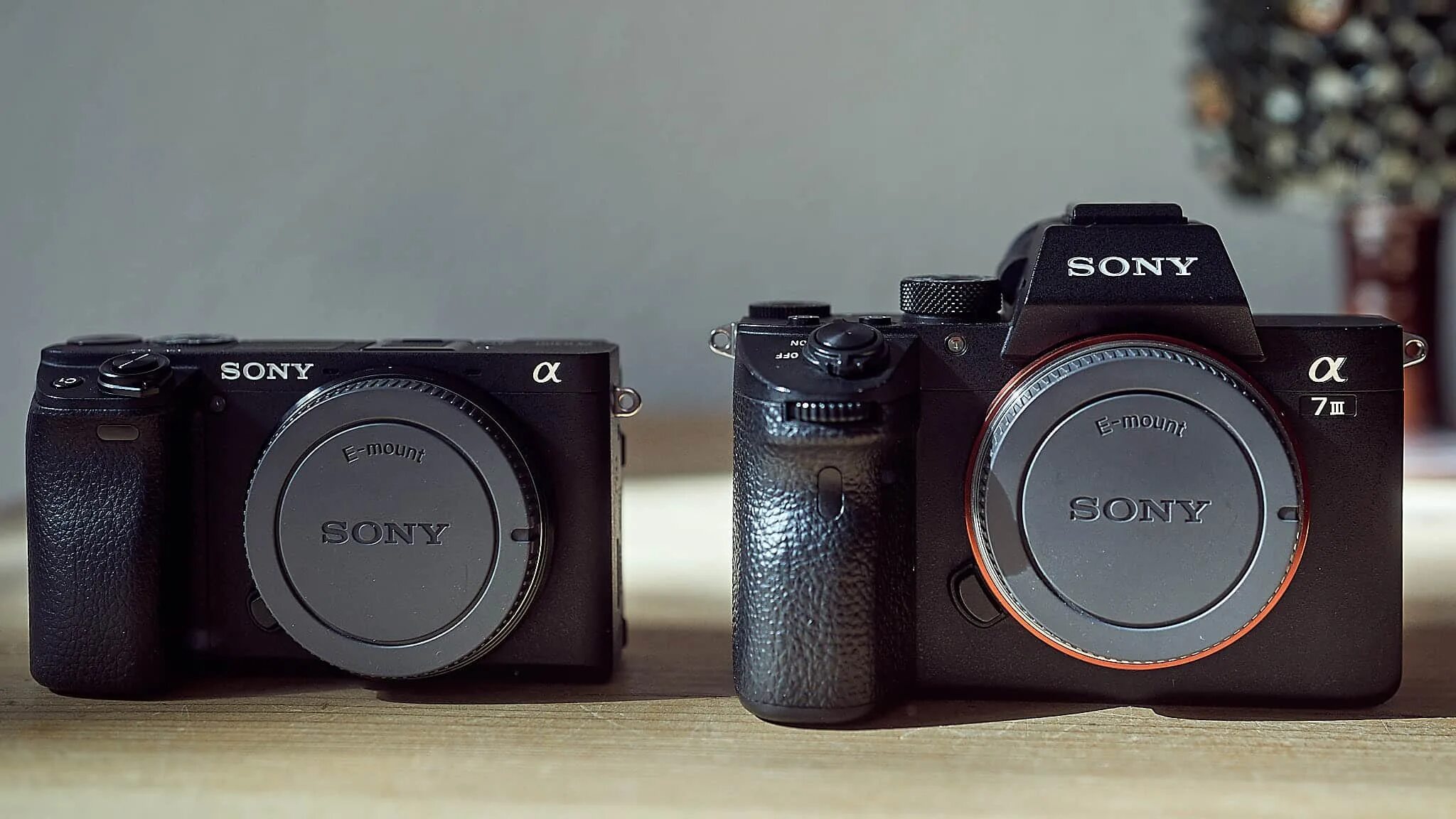 Sony a 6400. Сони а 6400. Камера сони 6400. Size Sony a7iii a6400.