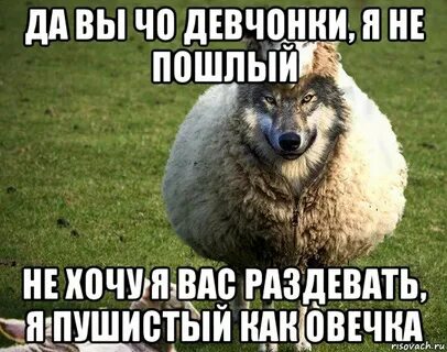 Одиночка 18