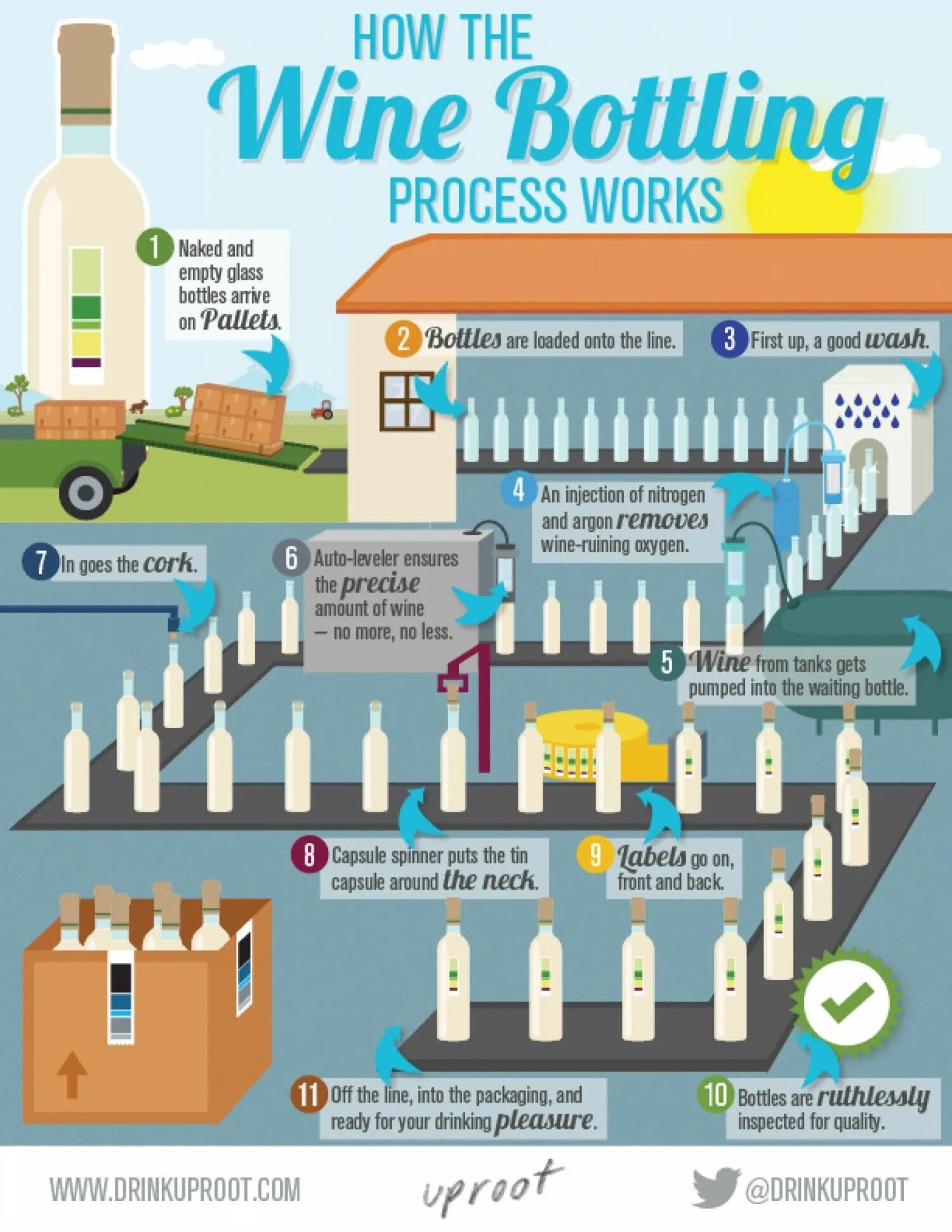 Wine processing. Винные бутылочки инфографика. инфографика вино. wine process. подготовка погреба инфографика.