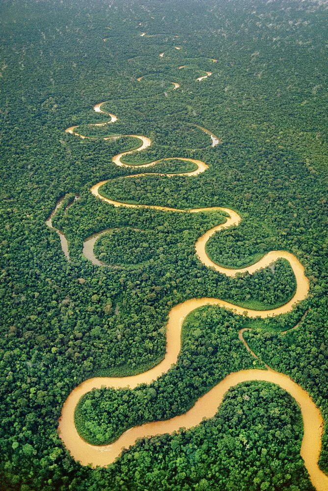 Amazon borneo congo. Река Амазонка. Южная Америка река Амазонка. Река Амазонка в Бразилии. Бразилия Амазонская низменность.