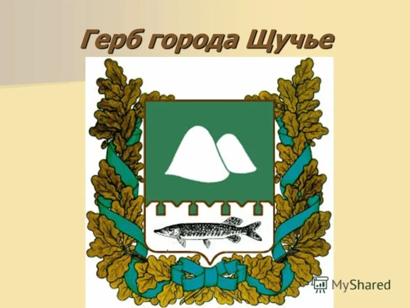 Благодаря кому на шадринском гербе появился гусь. Герб Щучье Курганской области. Герб города Щучье Курганской области. Герб города Кургана Курганской области. Гербы районных городов Курганской области.