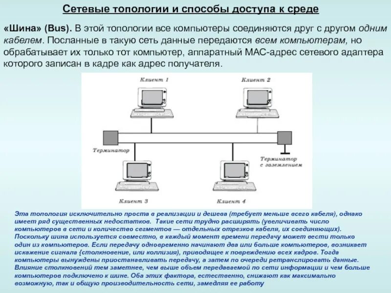 Топология локальных сетей шина. Схема локальной сети топологии шина. Одноранговая локальная сеть с топологией линейная шина схема. Одноранговую локальную сеть с топологией линейная шина.. Методы доступа к сокету