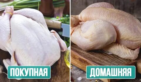 Что она курица