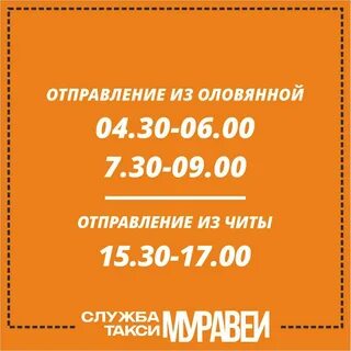 Муравей чита хилок