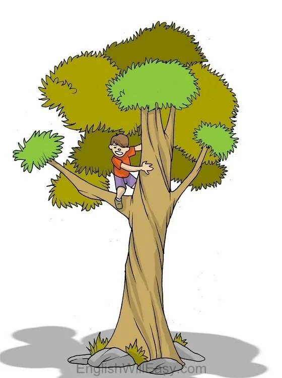I can see a tree