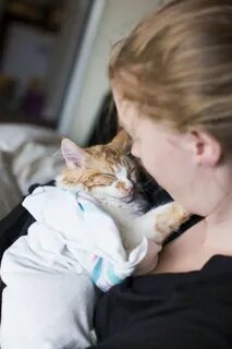 Она родила 1 котенка